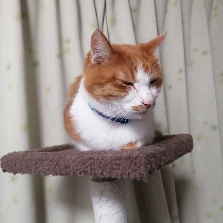 Ea2ae8cc 4be5 410a 8c46 9932e7db16d8 1610146491354