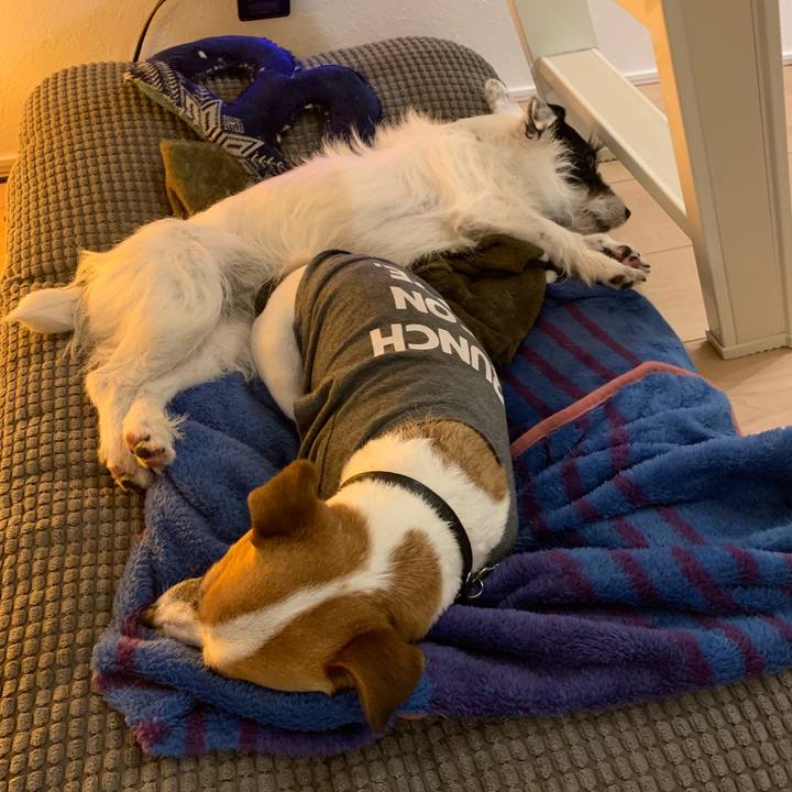 Ea2b010f b454 42c2 bb5c 58c6b6d64027 1556803462529