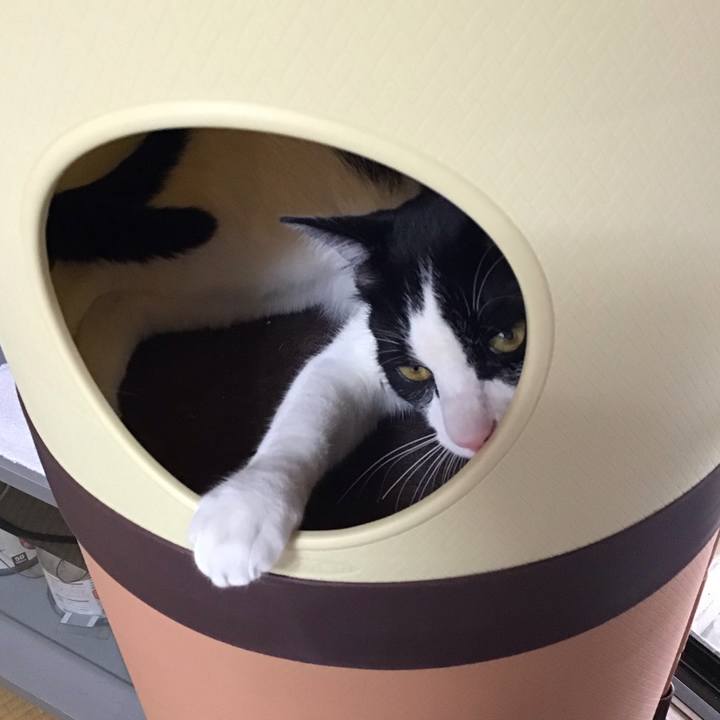 Ea2b229b 739d 4741 b353 7bbd0120edf3 1653555847821