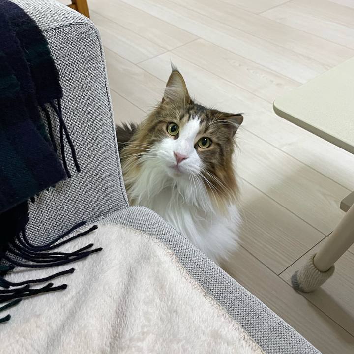 Ea2b37b9 2073 49a4 b36c cf7eaaf2e7a1 1671479556841