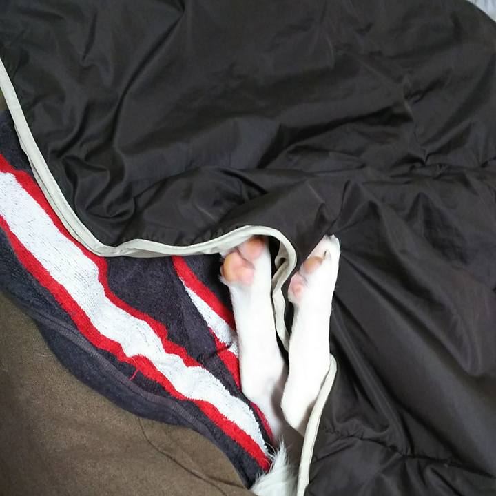 Ea2b4f45 dcc3 40f1 9c05 ab5ba7fa40a8 1508076848300