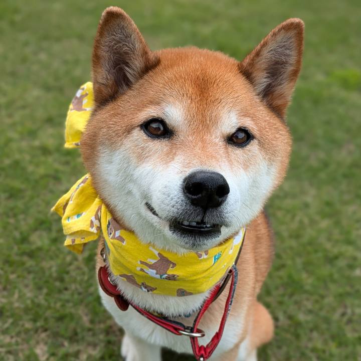 Ea2b7838 a0fb 45d3 ad12 4722637e86b5 1719064835990