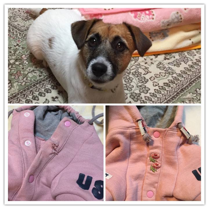 Ea2b8842 b837 42f3 ac3f b05e03574a43 1511697505163