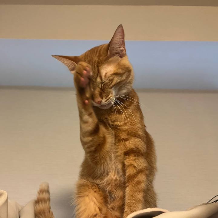 Ea2bba83 28c6 49a2 8027 1f28add31142 1641877072717