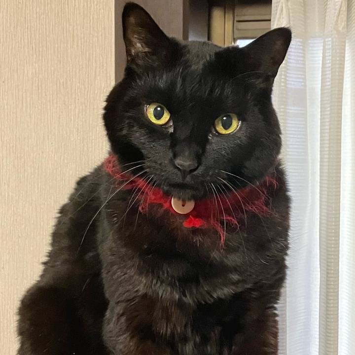 Ea2bdd75 9ba3 475a acad 8f84004f95e2 1677495790759