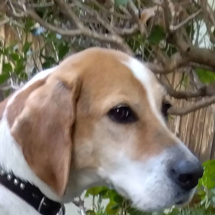 Ea2be50f 1657 4eec 85df 2558724ca625 1685353400370