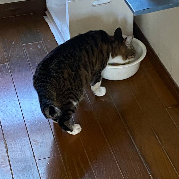 Ea2c280e 5774 419d b49b 3e112f016d0a 1662771824061