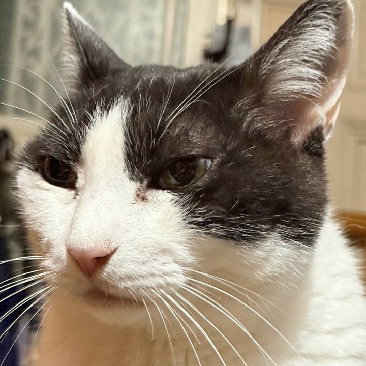 Ea2c2e8f 8a48 40c9 921a a7e87d246901 1750733636480