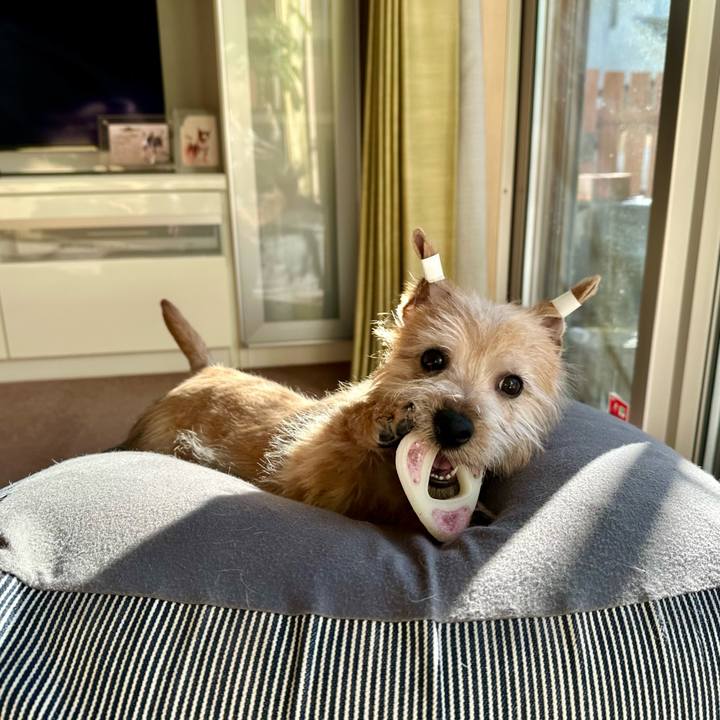 Ea2c6579 1588 4d7c 965a c3b1de67fff2 1704765078731