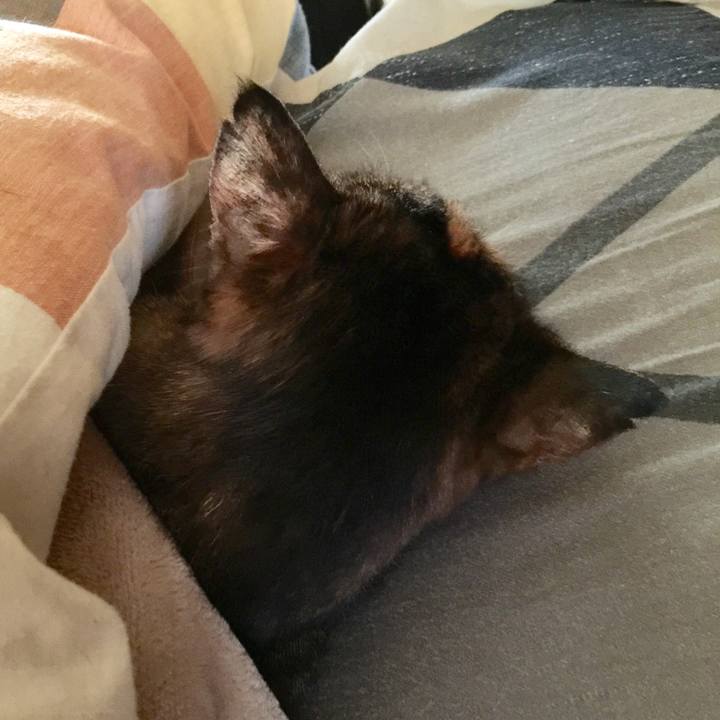 Ea2c7288 2bbb 43b8 949f 4c7b173c4030 1510009257113