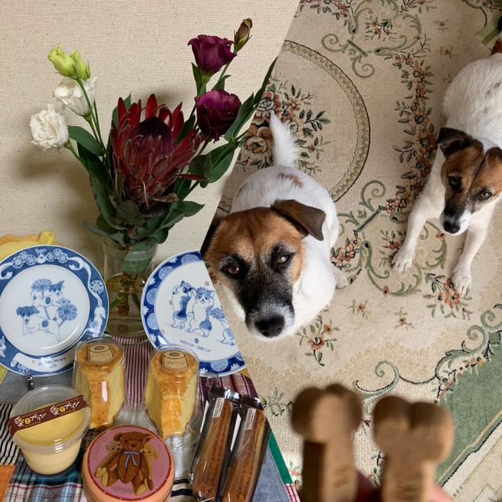 Ea2c8998 9a0c 4340 8518 97e820da4e80 1573990233667