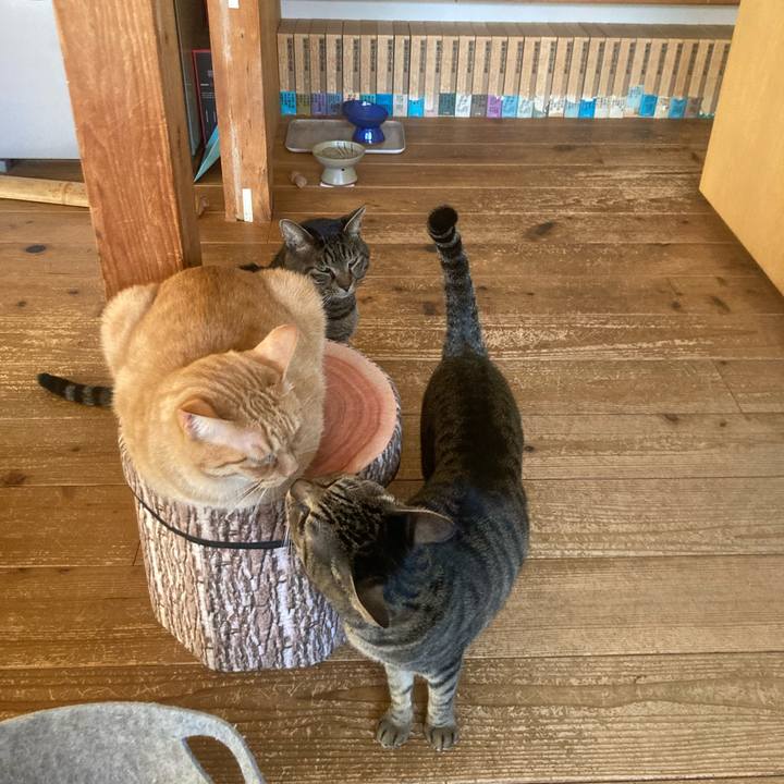 Ea2c89dc c766 4961 a6c9 7f17e1800ec0 1734218855888