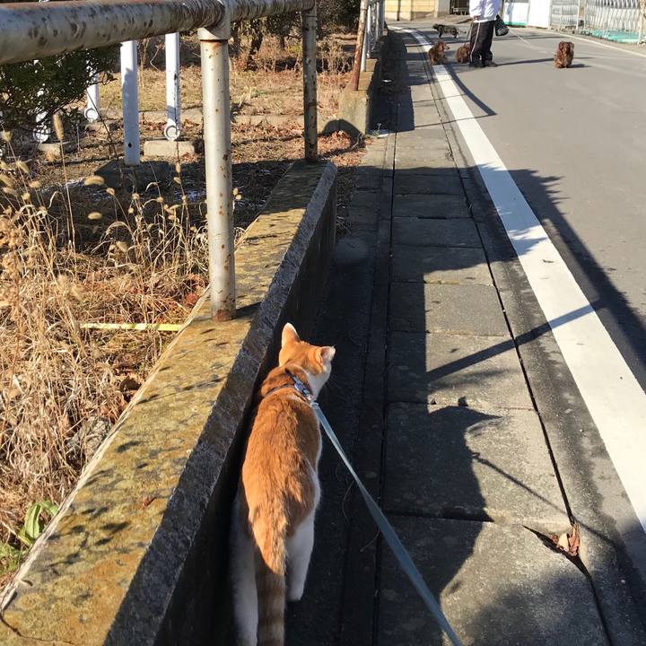 Ea2cb69c 3008 48cb a86d 3854933f04b5 1515646603800