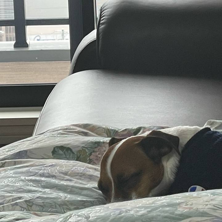 Ea2cc0f8 d119 43d8 a05f 16ed44524e47 1643413257506