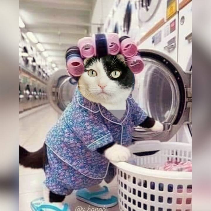 Ea2ce42c 1796 4e75 97e9 7b23ee82217d 1706931132573