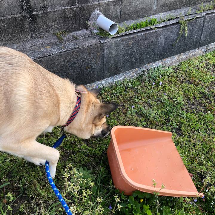 Ea2cece4 ec7c 494f b118 cce2c6906d90 1522153179521