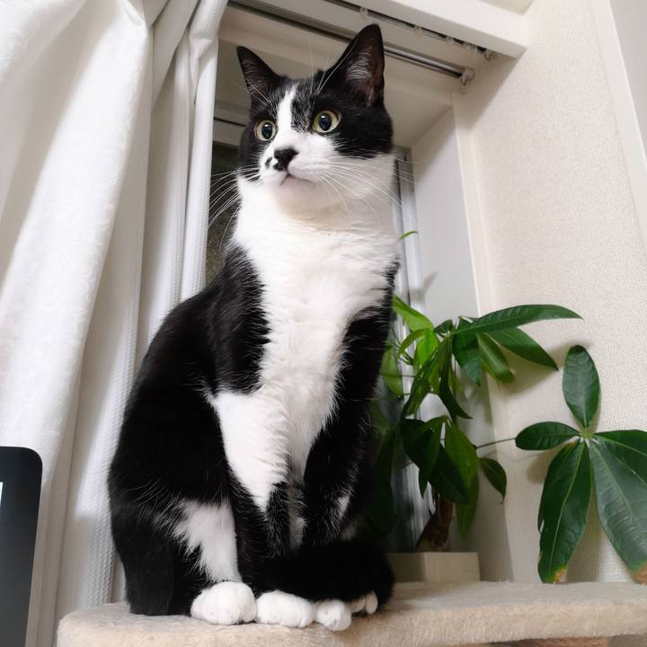 Ea2d1878 1f72 4401 9627 db9e2a83c1e7 1560180345483