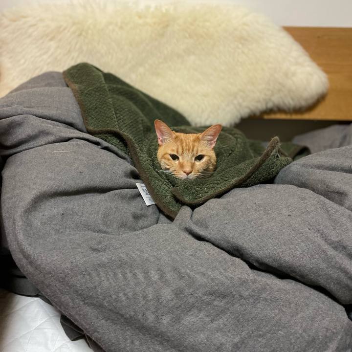 Ea2d560d eaab 46e8 a8c6 6b8cbfd22cf2 1666315157322