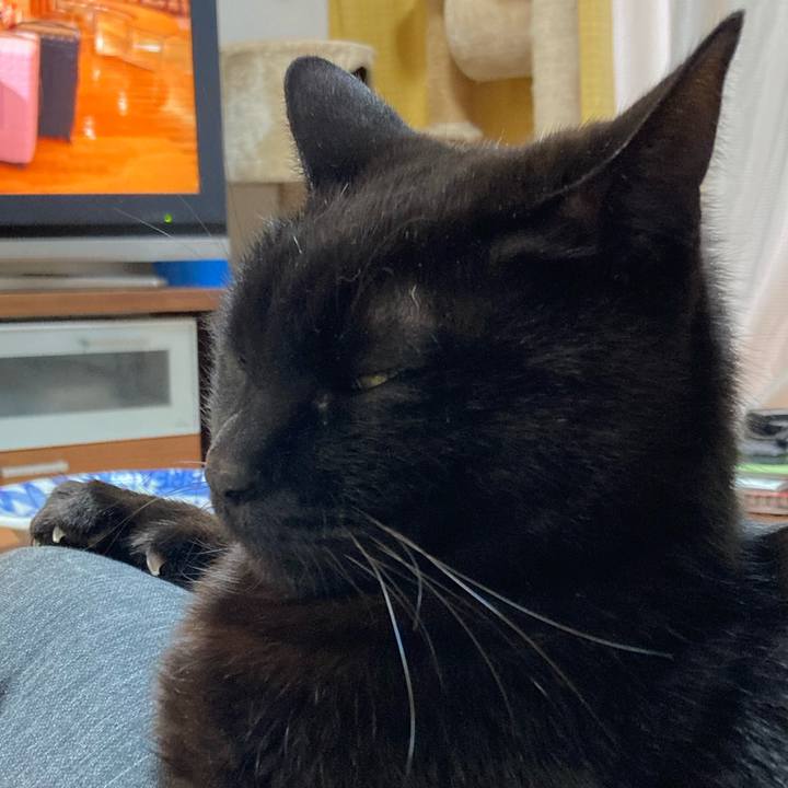 Ea2d79e5 0a69 4d5d ae63 f4a61d156b89 1777101665939