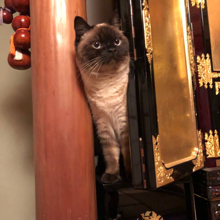 Ea2daa2b 0e0c 440c 94ec 9a029dc01179 1617495009346