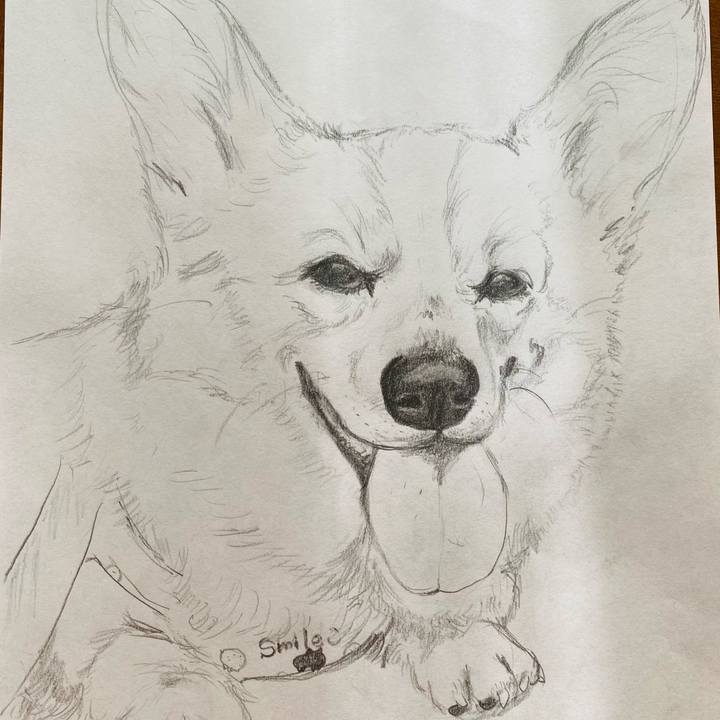 Ea2df2f4 3bae 4451 ae20 a73145ec4f0c 1612013364238