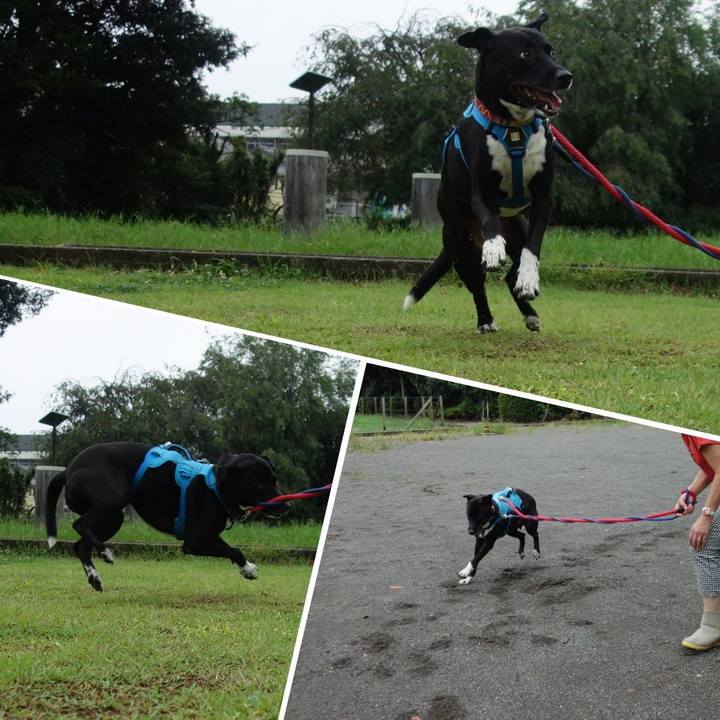 Ea2e0065 e16b 4653 8b68 141c742b7d44 1630458687293