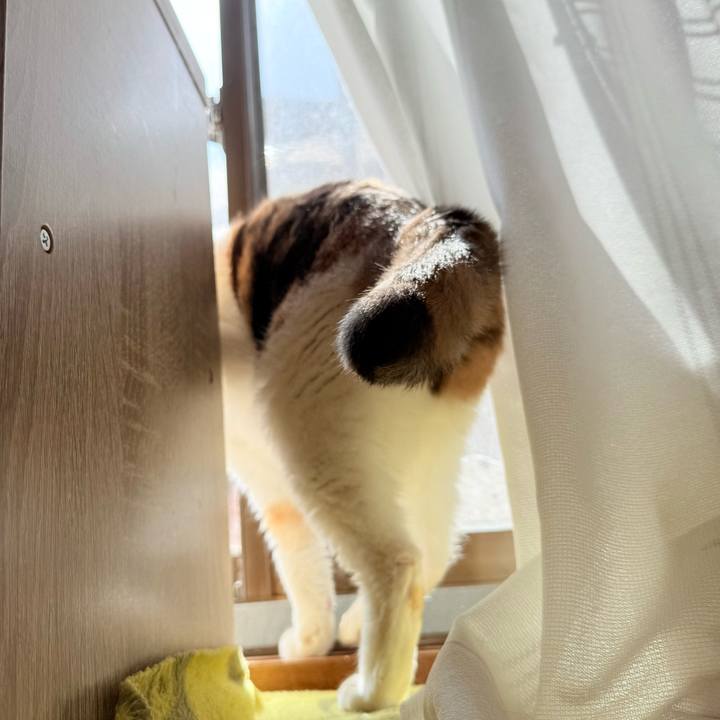 Ea2e0127 7916 43d6 8f4a ebdf43c7cbc5 1744597710076