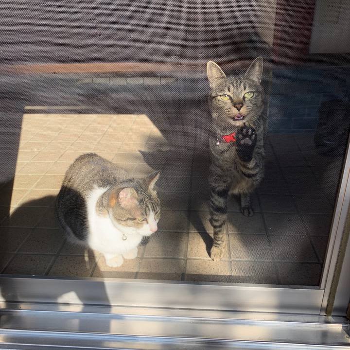 Ea2e236f fcd7 41be 9774 e1b10fd8c86b 1553049291886