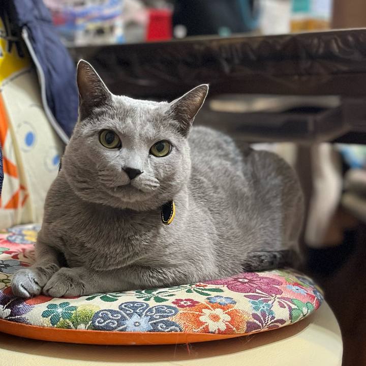 Ea2e475a d0ee 44b7 b622 88d527c07ba3 1732323391375