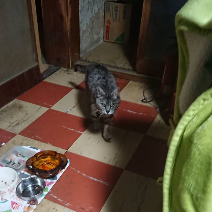 Ea2e4b0c 8b60 4080 9094 27513fa10229 1589312950336