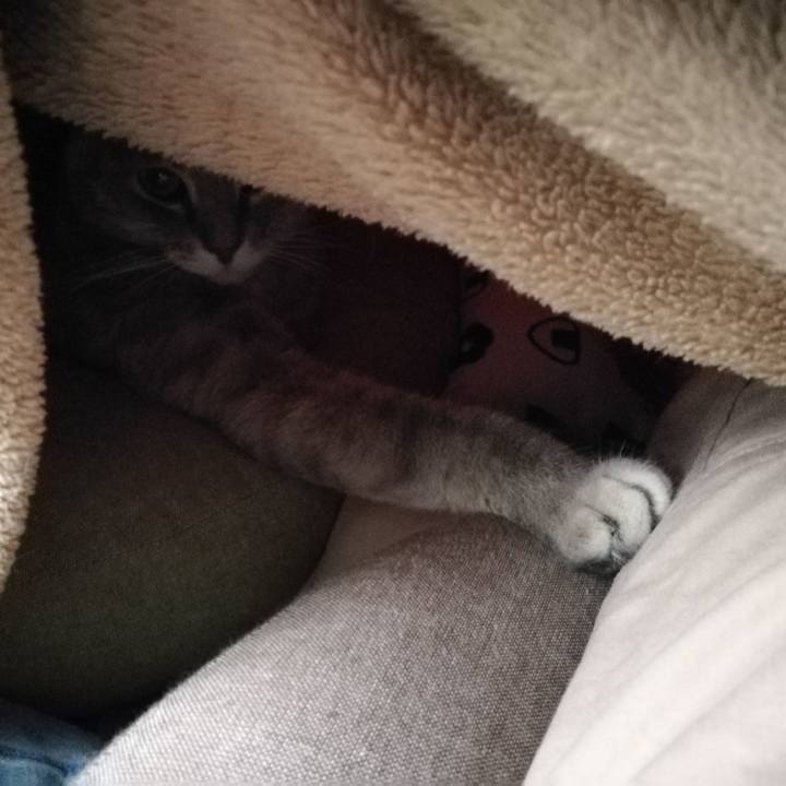 Ea2e5139 911c 4eca b92b c9492577c98c 1549698622128