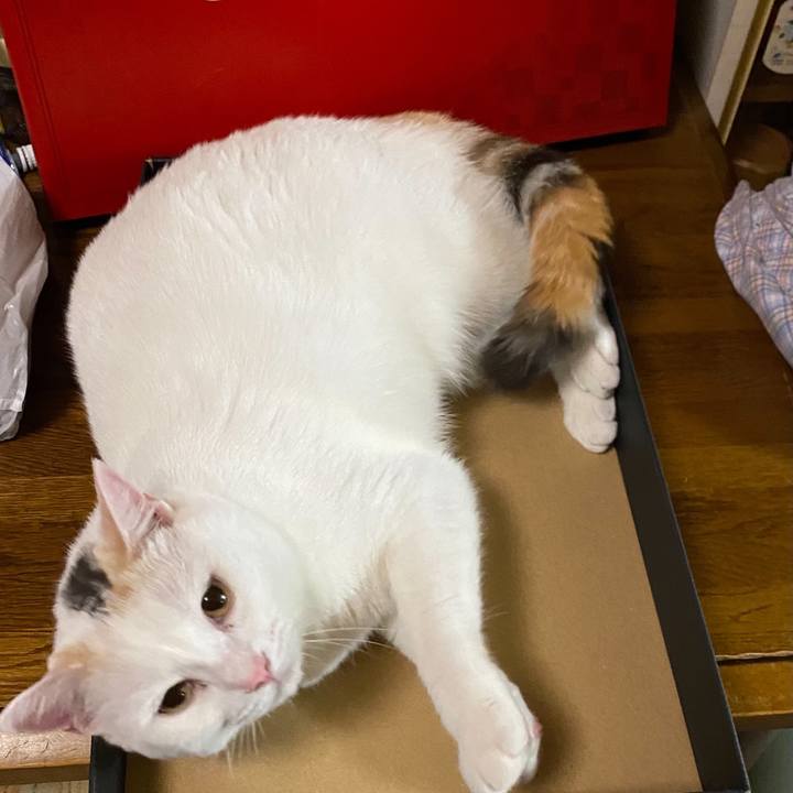 Ea2e5d91 a828 4f37 89b0 209bfe03d81c 1626916369815