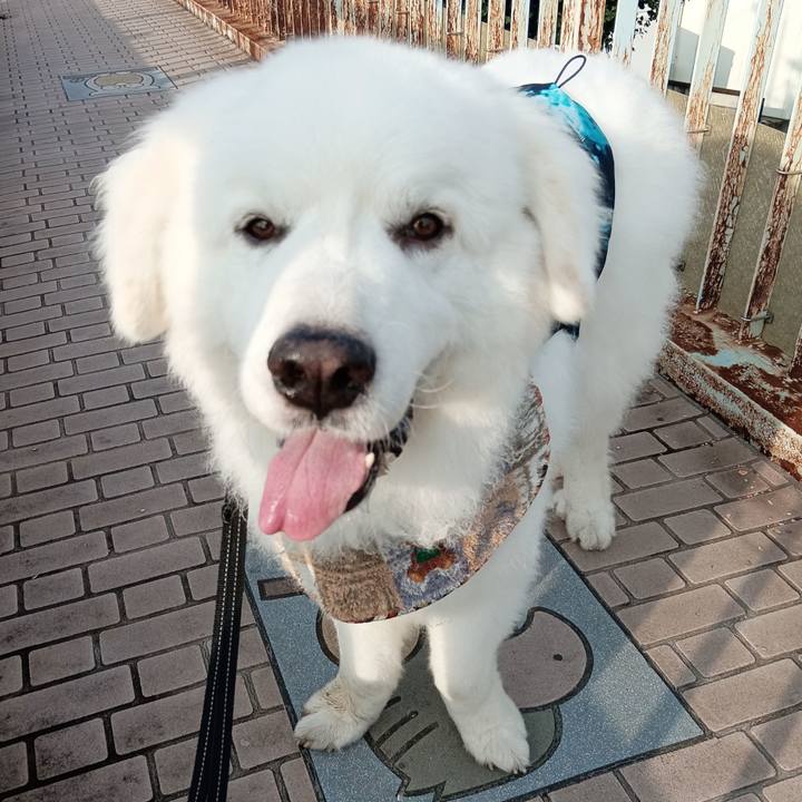 Ea2e6d3e a414 4bc6 9abf d166c0baac37 1720319309938