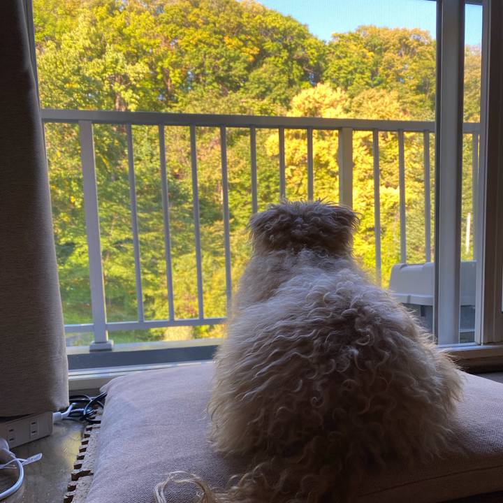 Ea2e8bbc 54da 4945 9974 62cdeb31a67e 1697149107721