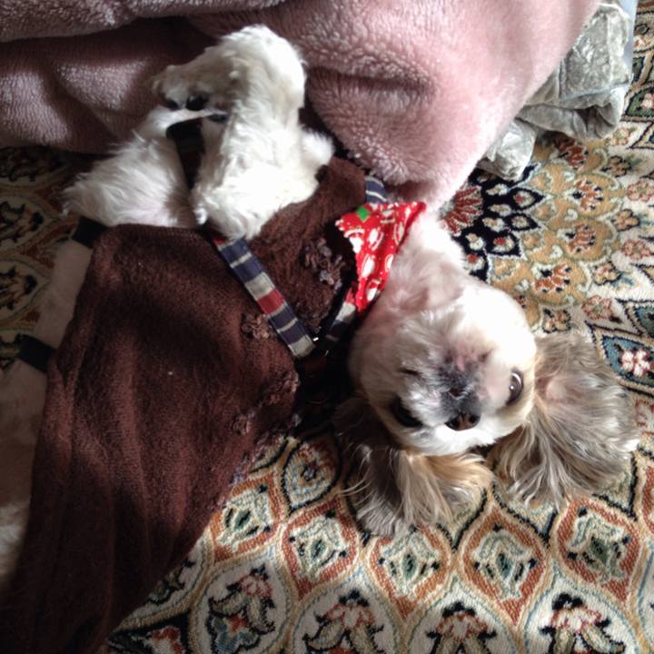 Ea2e9c05 f773 4b4d bc8b 22a9845cceb6 1513633377375