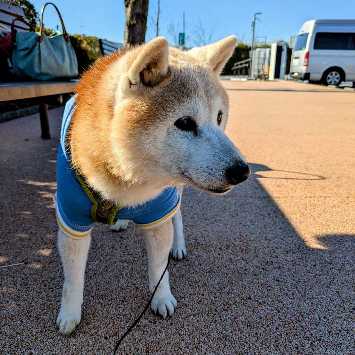 Ea2eaf24 8c1c 4071 8e82 db097c624a78 1768135695232