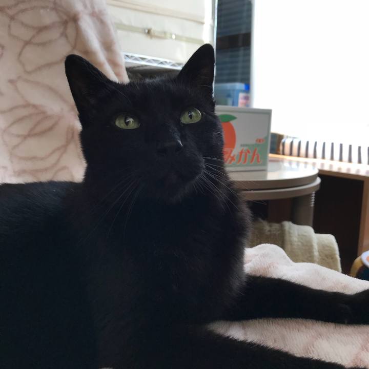 Ea2ef605 9d11 40e5 8ef3 1b3f680a8bb1 1524360649069