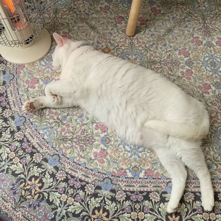 Ea2ef6a6 dba2 42b3 874b ce38a215e6a4 1762216120913