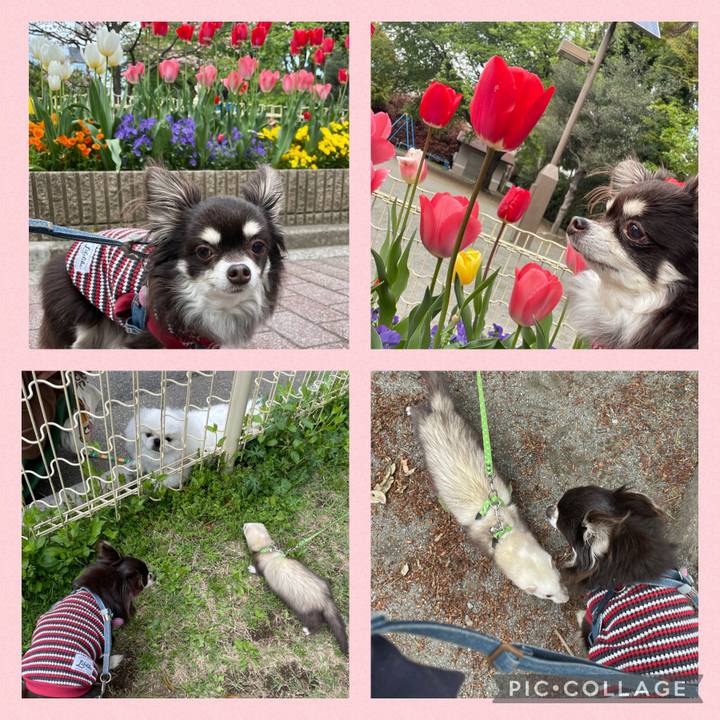 Ea2f107d d41d 476a 8dd8 2b3a25136159 1617939859049