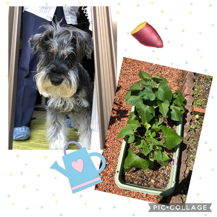 Ea2f1907 a9dc 477b a24b 197dc866613f 1685841749722