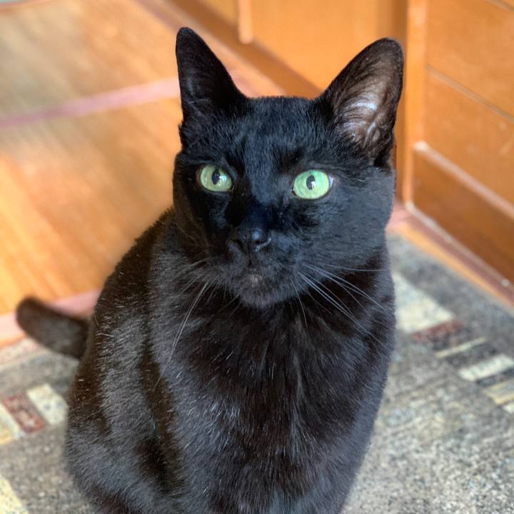 Ea2f5c7d d830 4c7c 8e71 243f75aba24d 1590713944606