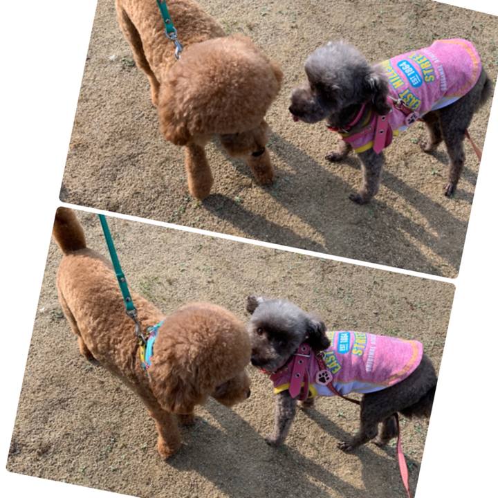 Ea2f75ea 6132 48cb a677 e1516209dab5 1635404276723