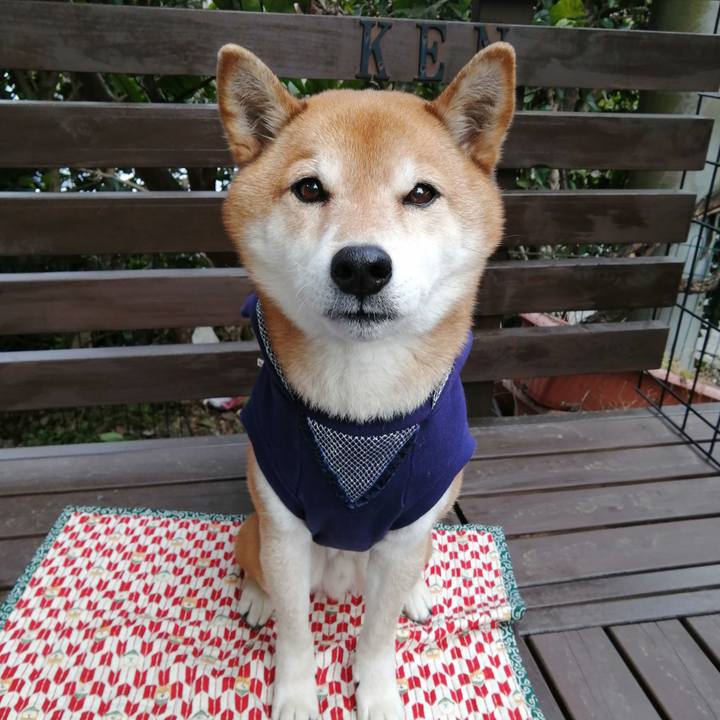 Ea2f94e0 15b1 48cc 9d9b cb754ec92ffa 1676187785980