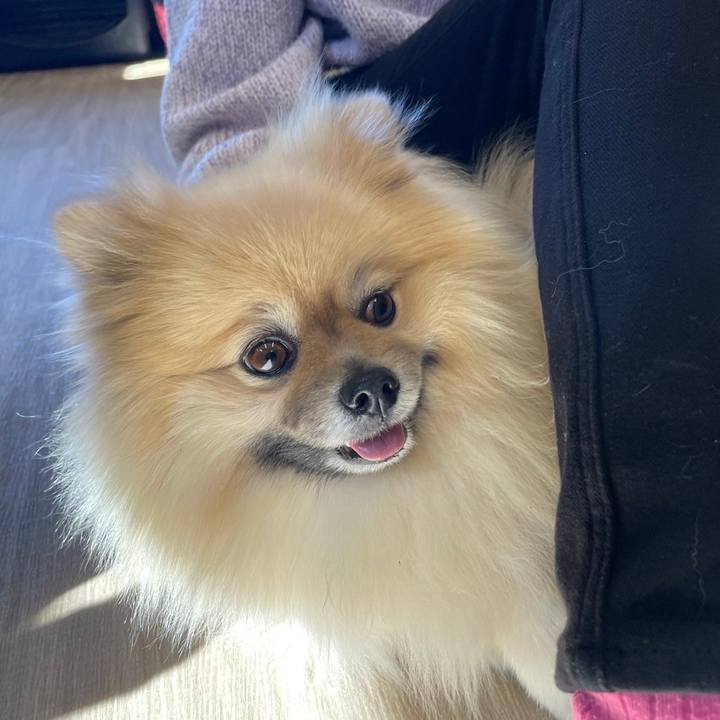 Ea2fc513 673d 4c9d 80a9 d5e8bc37b235 1742032808617