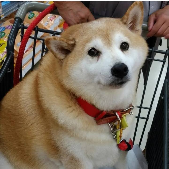 Ea2fe505 a0b7 4bef 864c 22b4bdc84c6e 1763486431612