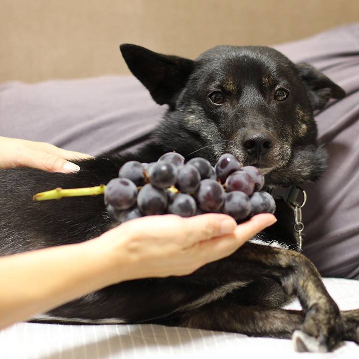 Ea301aea cad4 4e5e b72a 7da27ace2543 1536841911041