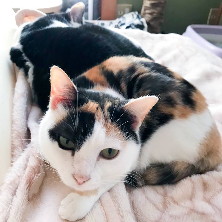 Ea308e8e 08d5 4214 ac47 f29ae347d46b 1514246049832