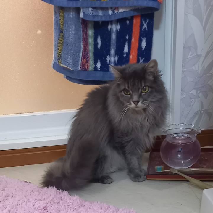 Ea3095b8 b108 45d7 a97c 27348298d752 1689327439626