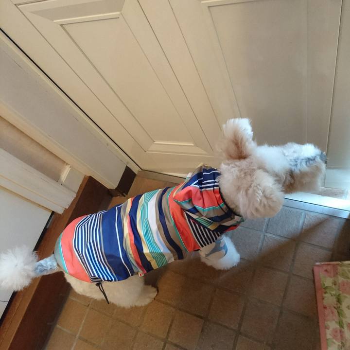 Ea30c3de 9a2d 4253 b90e d5e9985de8ca 1524556953315