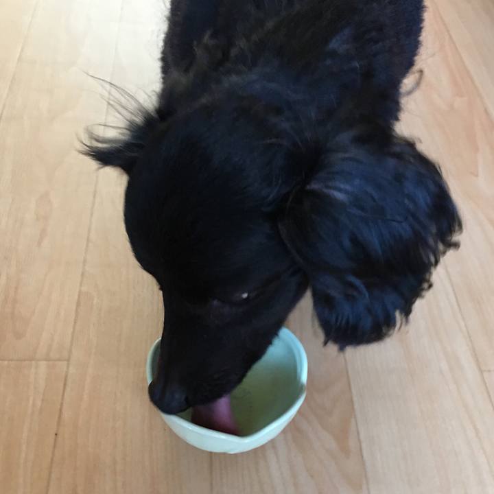 Ea30d3a2 08e0 40ed 8b82 034e0ffb518a 1531176505073